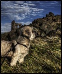 bailie_6391holyrood