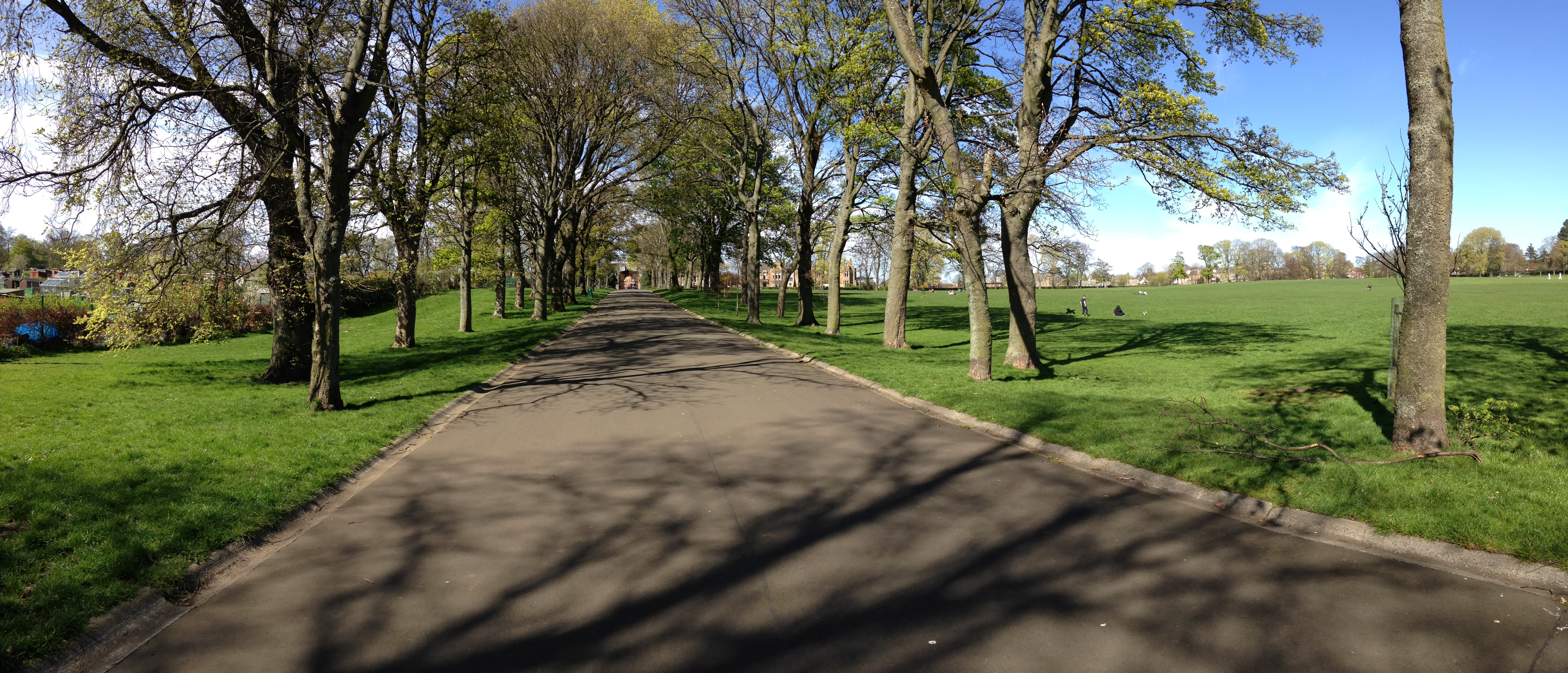 Edinburgh Inverleith Park Dugs n Pubs Dog Friendly Guide