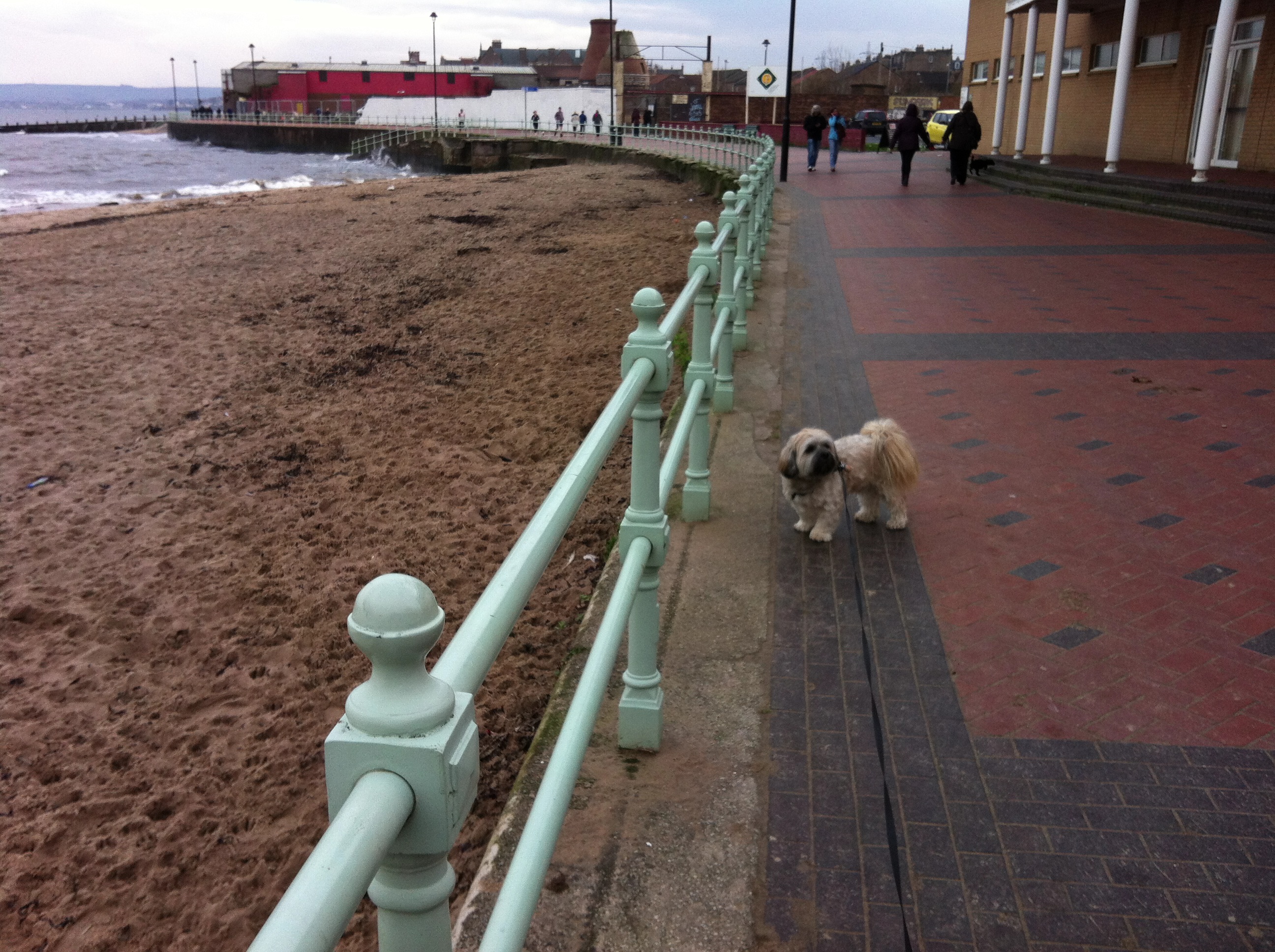 Is Portobello Beach Dog Friendly Is Portobello Beach Dog Friendly