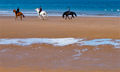 tyn_beach