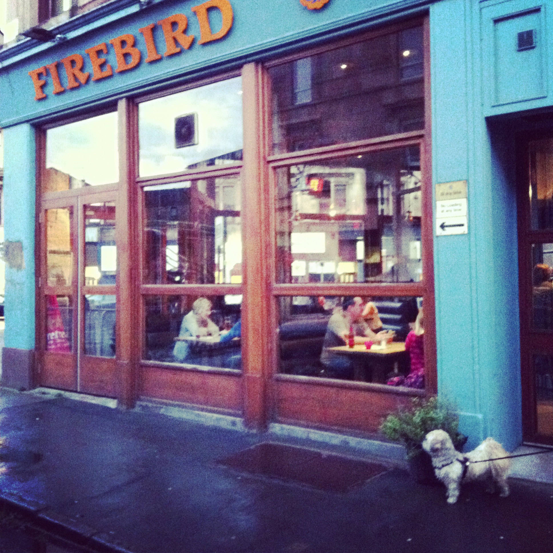 Dog Friendly Pubs Glasgow West End Dog Friendly Pubs Glasgow West End