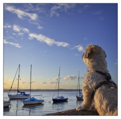 Cramond 
