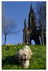 Princes Street Gardens