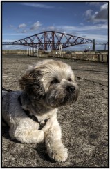 Forth Rail Bridge