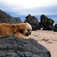 durness beach