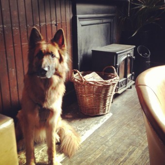 Khumo in the Holyrood 9A
