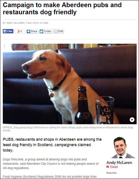 dugs-evening-exp-aberdeen