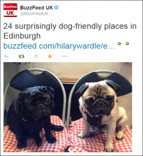 dugs-n-pubs-on-buzzfeed