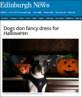 evening-news-dugsnpubs