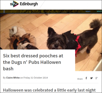 stv-edinburgh-dugsnpubs