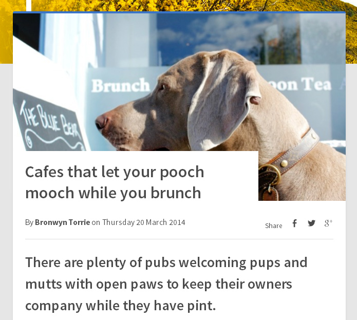 stvarticleedinburghdogs