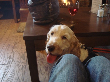 Poppy's first visit to The Steading Bar and Restaurant - June Jack