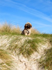 clachtoll_beach02