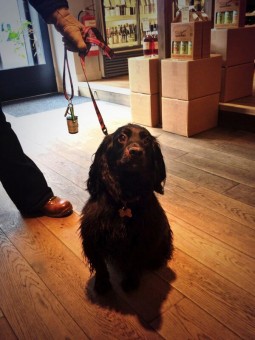 drinkmonger-dugpitlochry