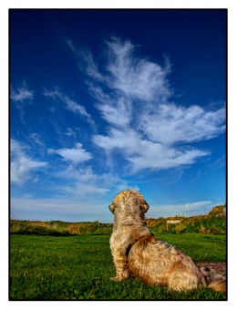 dunbar2