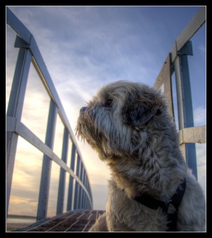 dunbar_beach
