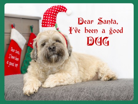 gooddugsanta