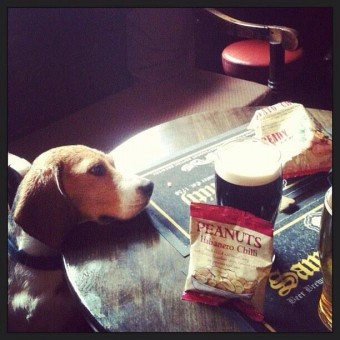 polly pic dan hunt