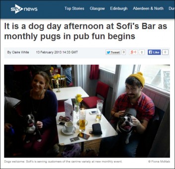 stvpugsinpubs