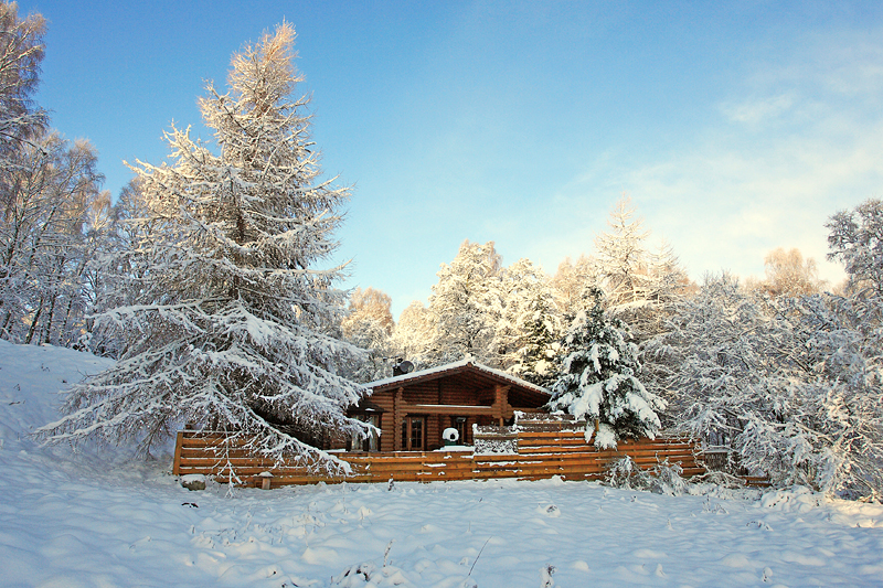 Dog Friendly Hotels Aviemore Dog Friendly Hotels Aviemore