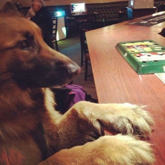 From Michelle Main It's Khumo's round in The Grapes, East Calder.
