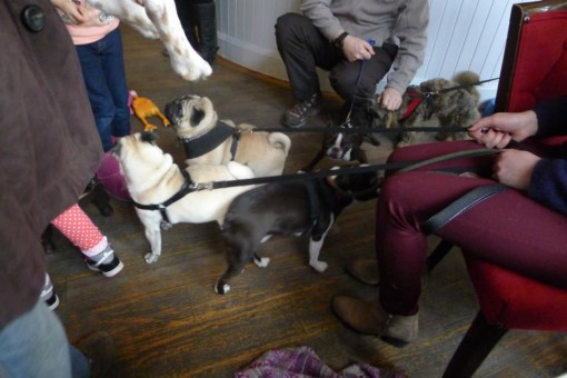 Photo from Fiona McNab2