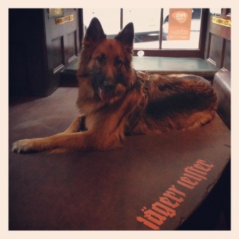 Photo of Khumo chilling in Bannermans Edinburgh (photo from Michelle)
