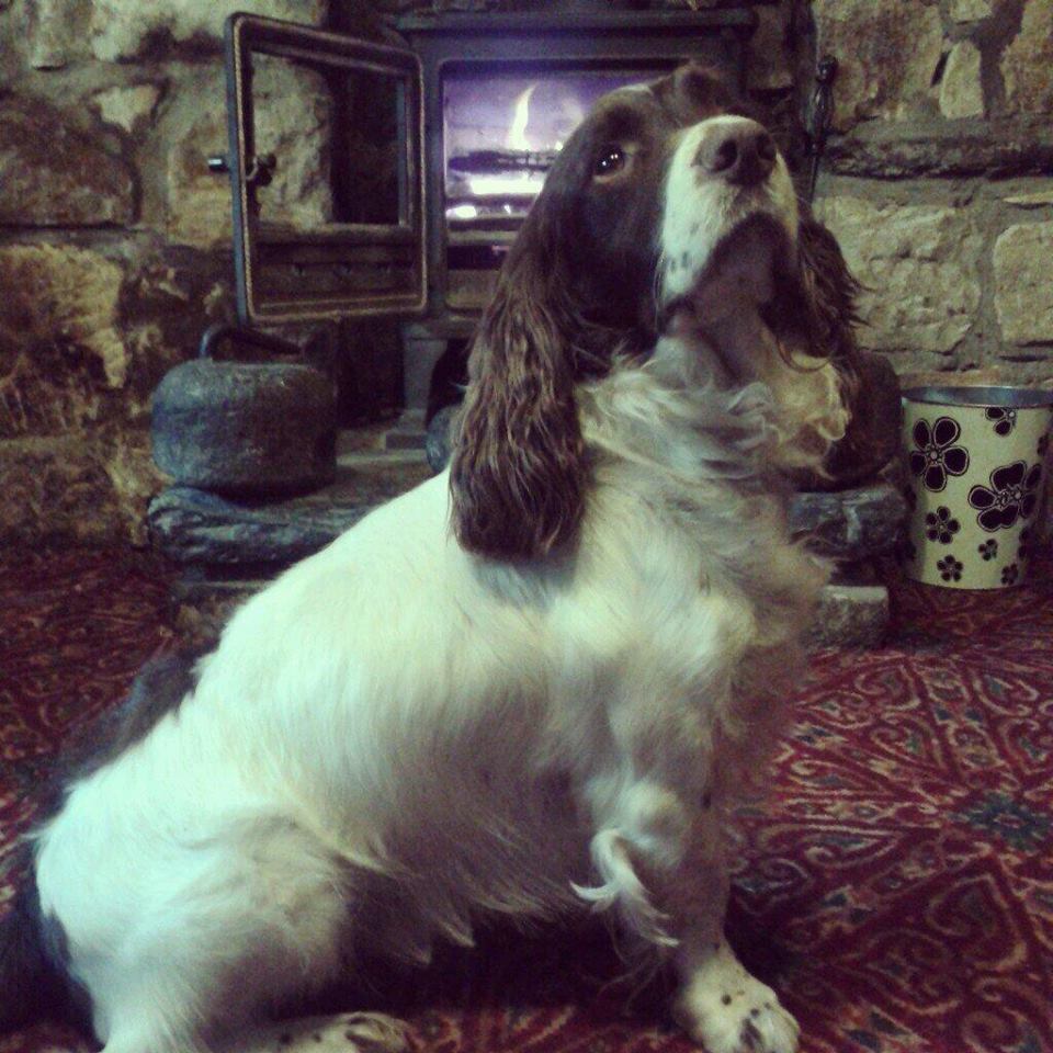jack