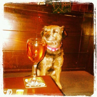 dogfriendlypubsettleinn