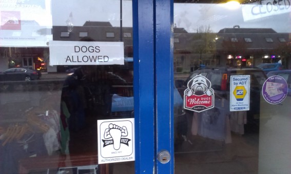 dog friendly aviemore