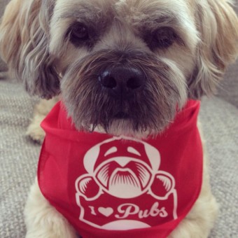 Dugs n Pubs Dog Bandanas