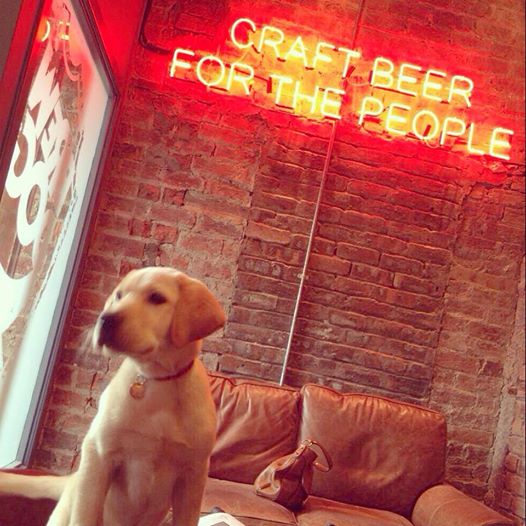 BrewDog Dundee Dugs n Pubs Dog Friendly Guide