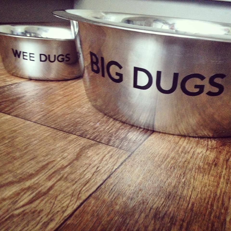 dog-bowl-for-big-dugs-wee-dugs