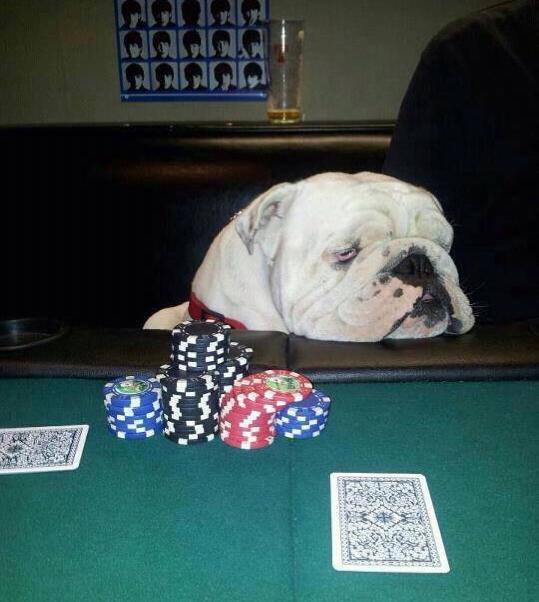 dugs-n-poker