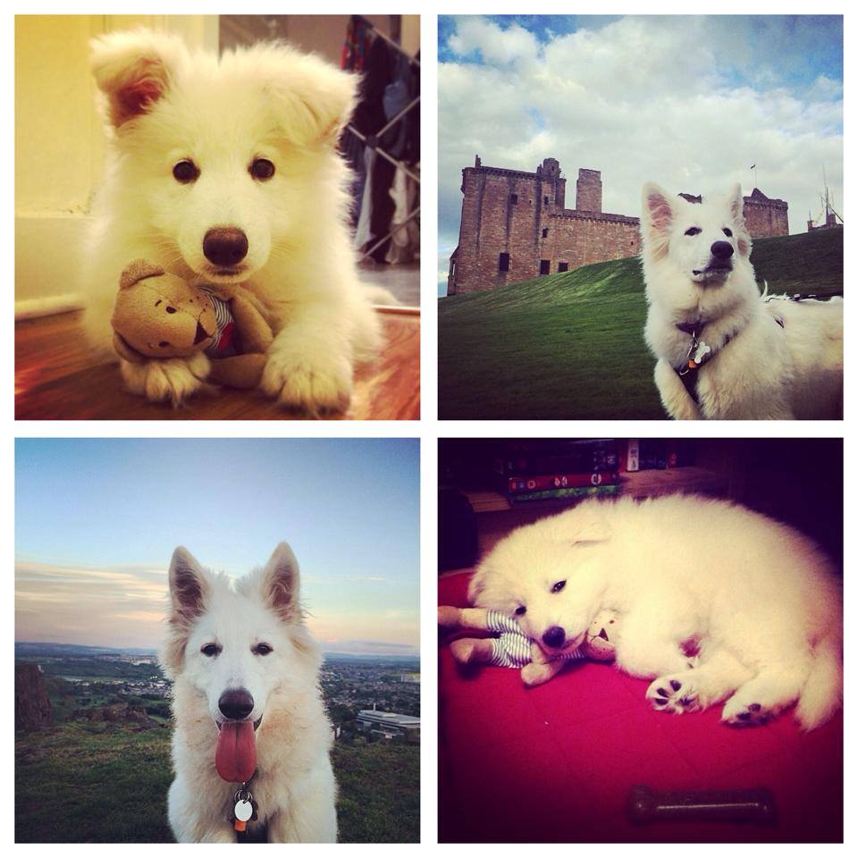 ghost-gsd