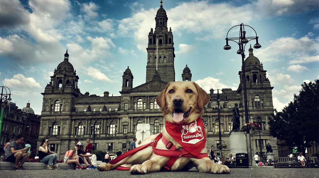 Dog Friendly Restaurants Scotland Dog Friendly Restaurants Scotland