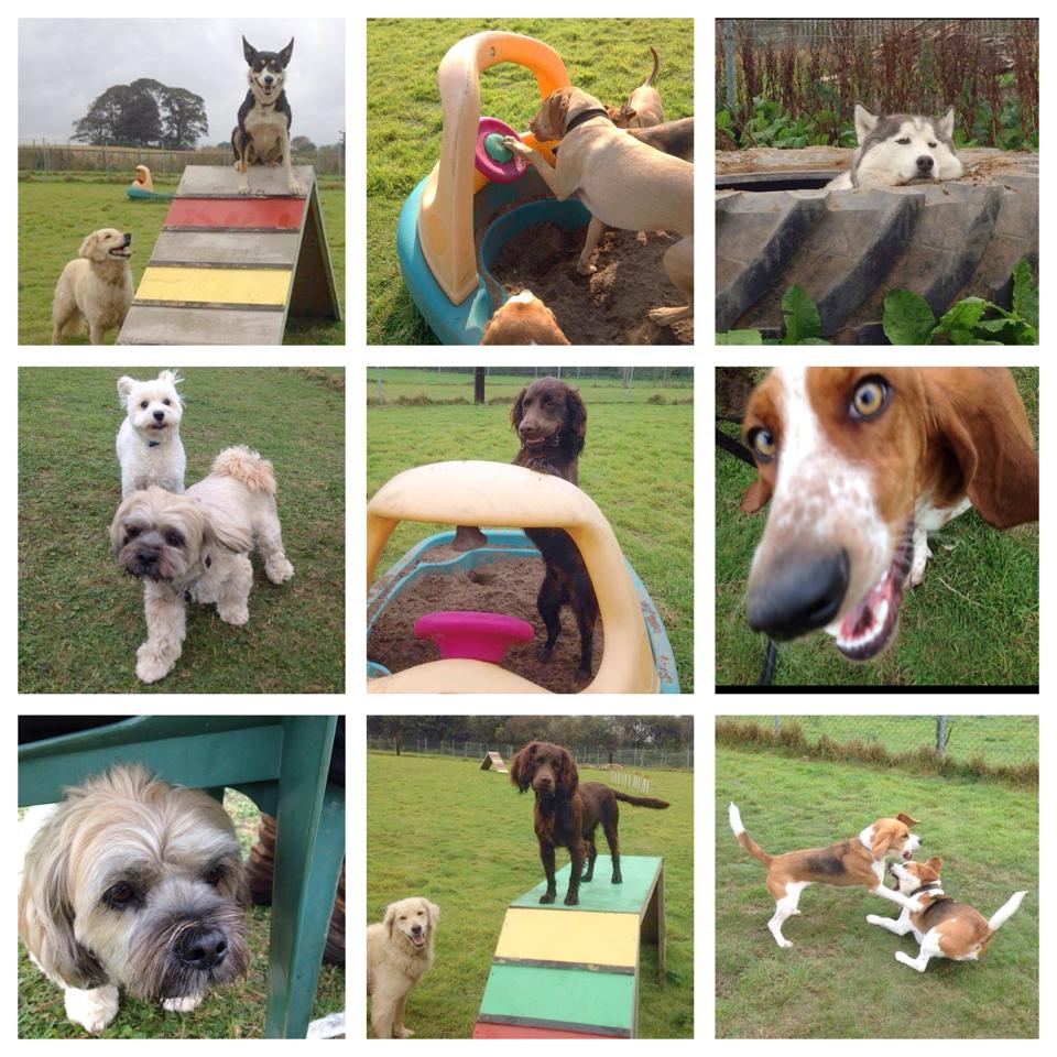 barklay-park