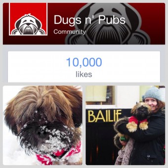 dugs n pubs on facebook