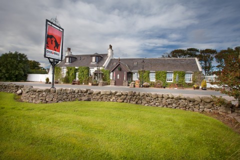 cock-bull-dogfriendly