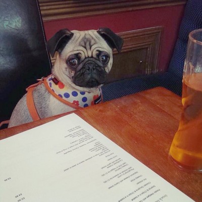 coco-aberdour