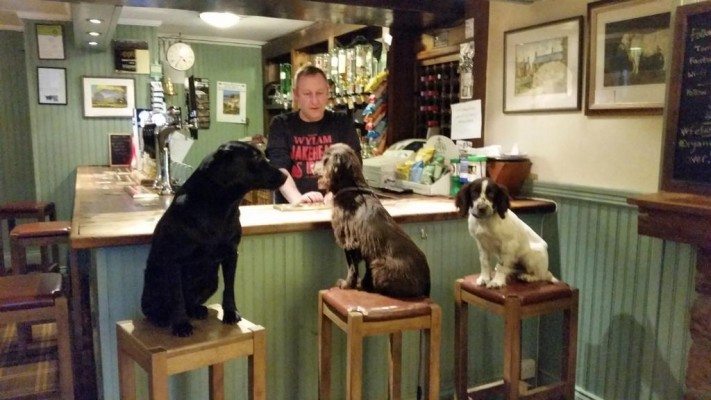 black-bull-inn@towncountryk9