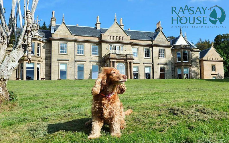 Dog Friendly Days Out Wales Dog Friendly Days Out Wales