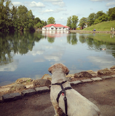 Rouken Glen Park