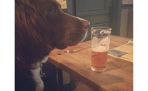 Archie’s pub time is thinking time (at Redmonds Bar in #Glasgow) – pic Karen Kelly