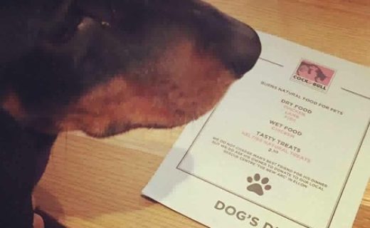 Banger ordering from the dog menu at The Cock and Bull Balmedie – pic Cara Gibson