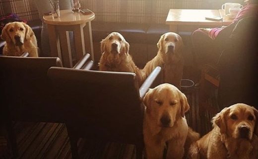 Big family day out in the DogHouse Bar in Balloch