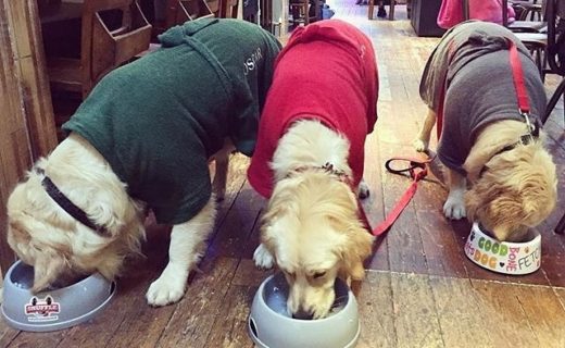 Dinner time at Saint Luke’s in Glasgow – pic @thegolden_bailey @stlukesglasgow