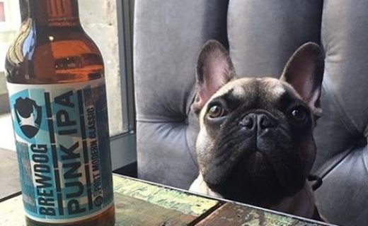 Enjoying a day on the town with mum and dad! First stop was The DogHouse Merchant City, Glasgow – pic @dexters_tails @doghousemcity