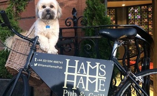 Hams Hame Pub in St Andrews is Dug friendly! Quite a few now listed on the site for St Andrews – pic ‪@OldCourseHotel‬