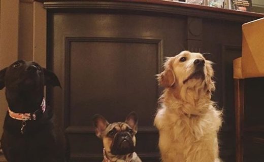 Here’s Callie, Jura & Holly – pic @punshhh